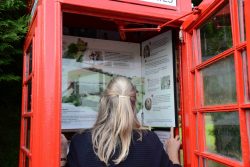 Diana Murray looking at the Triptych