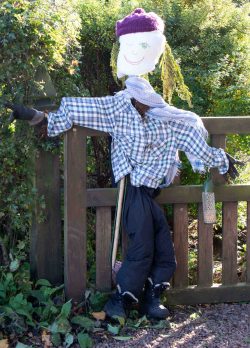 Mrs Smith - RUNNER-UP - Best Traditional or Harvest Scarecrow