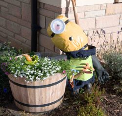 The Barry Family - WINNER - The Scarecrows That Made the Judges Smile the Most